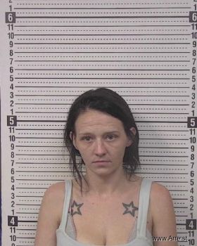 Mindy Dawn R Whisnant Mugshot