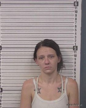 Mindy Dawn Whisnant Mugshot