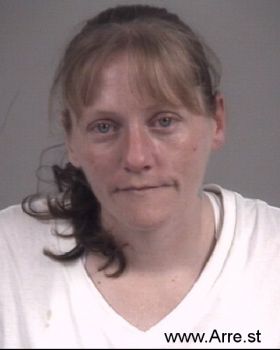 Misty Lynn Johnson Mugshot