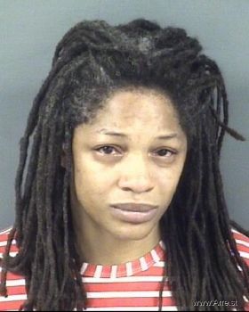 Nicole Marie Johnson Mugshot