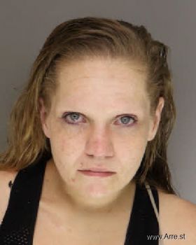 Nicole Marie Sink Mugshot