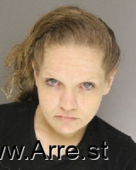 Nicole Marie Sink Mugshot