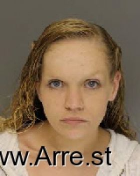 Nicole Marie Sink Mugshot