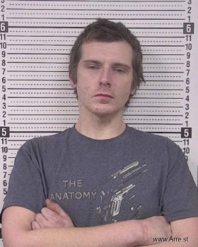 Nicholas Eugene Bollinger Mugshot