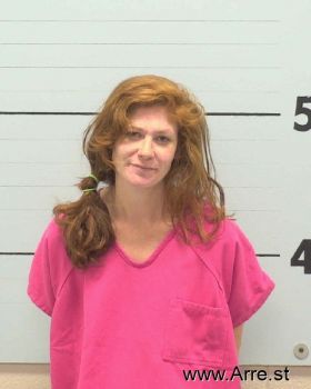 Nicole Renee Evans Mugshot