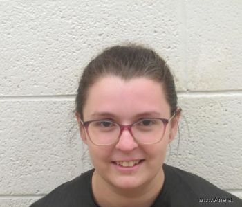 Nicole Amaris Johnson Mugshot