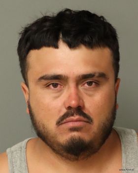 Omar  Acevedo-parra Mugshot