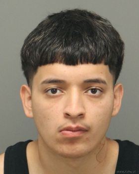 Orlando Rodri Dominguez-gaspar Mugshot