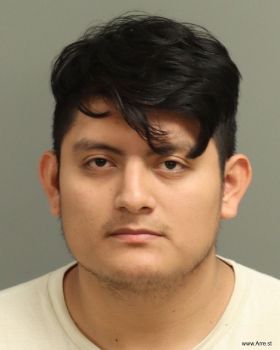 Oscar  Sanchez-altunar Mugshot