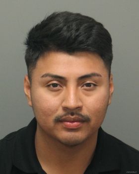 Oscar  Sanchez-gonzalez Mugshot