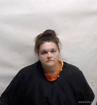 Paige Danielle Williamson Mugshot