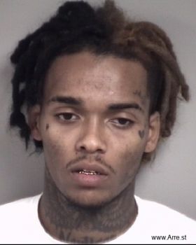 Paris Chandler Johnson Mugshot