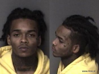 Paris Chandler Johnson Mugshot