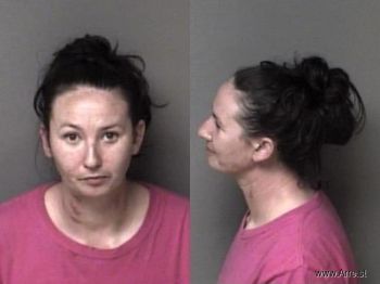 Patricia Ann Wheeler Mugshot