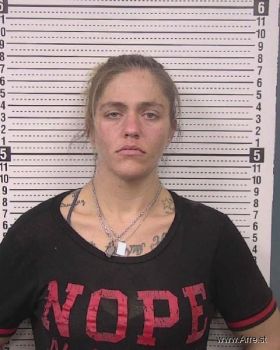 Paula Joyce A Evans Mugshot