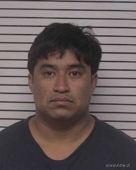 Pedro Daniel Martinez-hernandez Mugshot