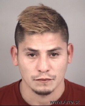 Pedro Pino Ortiz Mugshot