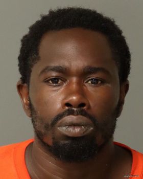 Phillip Olayinka Henson Mugshot