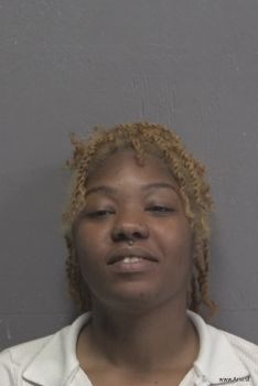 Precious Journey Williams Mugshot