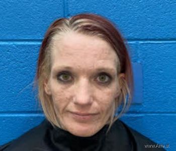 Rachel Lynn Mcpeters Mugshot