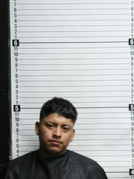 Ramiro Nmn Trujillo-ballinas Mugshot