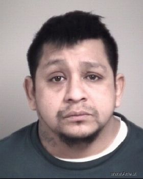 Raymundo  Gonzalez Sanchez Mugshot