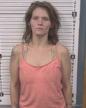 Rebecca Lynn Parton Mugshot