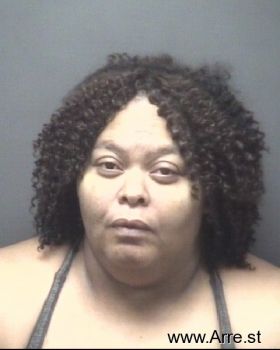 Rhonda Drake King Mugshot