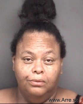 Rhonda Drake King Mugshot