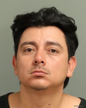 Ricardo Alf Alvarado-marchan Mugshot