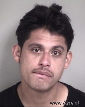 Ricardo Daniel Flores Mugshot