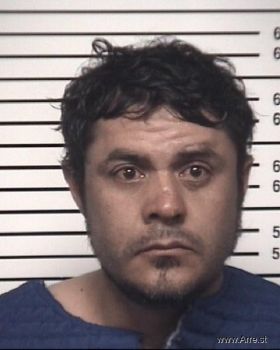 Ricardo Daniel Martinez-urbina Mugshot