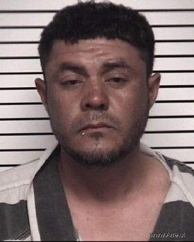 Ricardo Daniel Martinez-urbina Mugshot