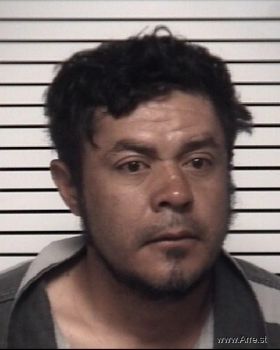 Ricardo Daniel Martinez-urbina Mugshot