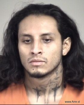 Ricardo  Ramirez-saldivar Mugshot