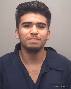 Richard  Elizondo Mugshot