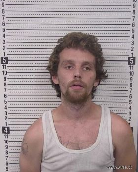 Richard Leeroy Nelson Mugshot