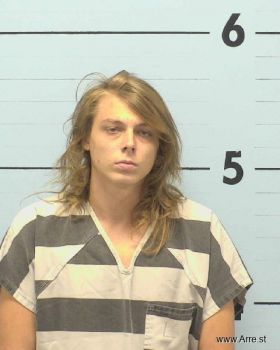 Riley James Davis Ross Mugshot