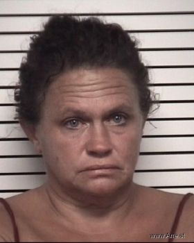 Robin Lynn Anderson Mugshot