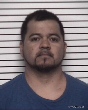 Rodrigo  Castro-olvera Mugshot