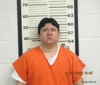 Rodrigo Fabian Hernandez-montero Mugshot