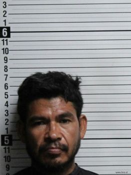 Roman Barboza Barragan Mugshot