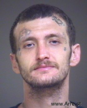 Roy Michael Heafner Mugshot