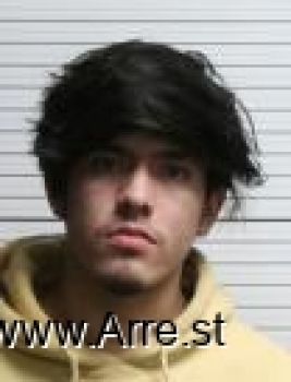 Sergio Eduardo Arreguin Mugshot