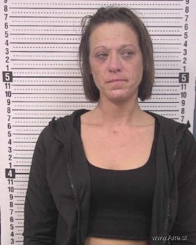 Salina Renee Widner Mugshot