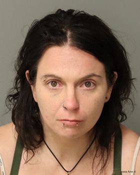 Samantha Charlene Anderson Mugshot