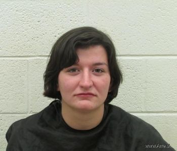 Samantha Gail Bradley Mugshot