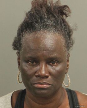 Sandra Denise Willis Mugshot