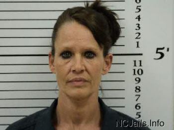 Sandy Lee Jarnagin Mugshot