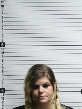 Sara Ann Williams Mugshot